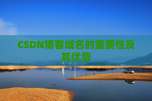 CSDN博客域名的重要性及其优势